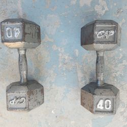 40 Pound Dumbbells 