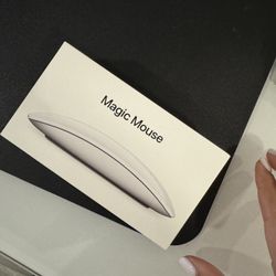 Apple Magic Mouse 