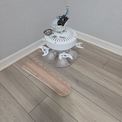 Ceiling fan