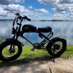 Meelod DK300PLUS Electric Bike