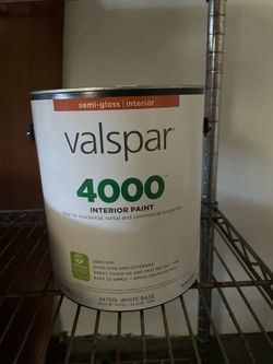 1 gallon of paint and paint supplies for sale