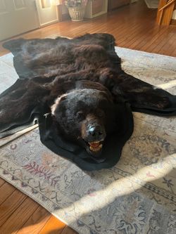 Authentic Vintage Black Bear Rug