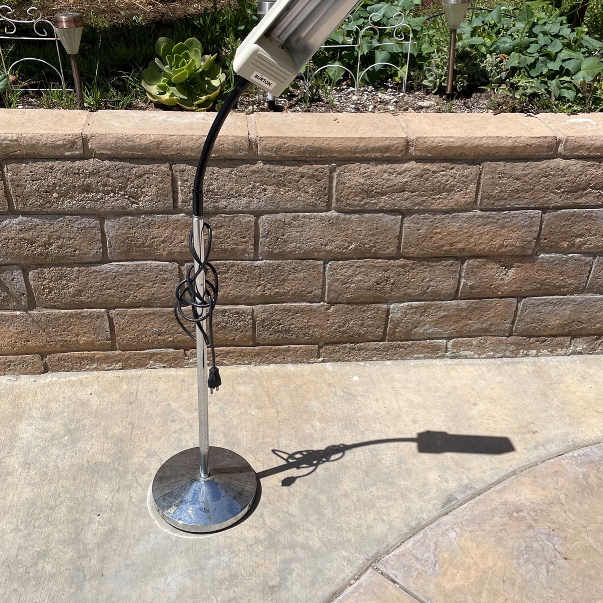 Study Lamp