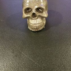 Resin Skull Head