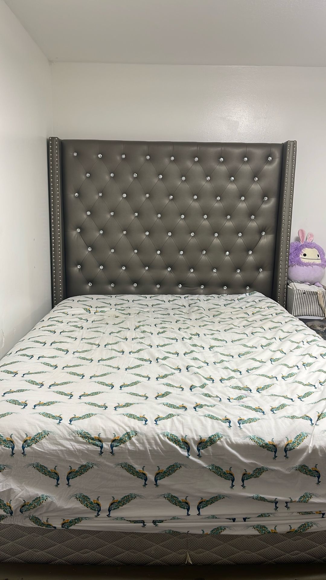 Queen Sized Bed | Everything; Spring Box, Mattress, And Bed, And