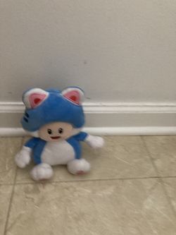 Cat toad