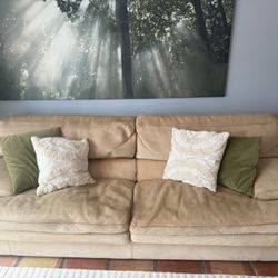 Camel Leather Designer Couch & Chair