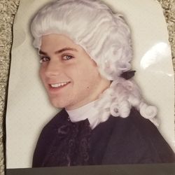 Colonial Wig Halloween Accessory, Never Used