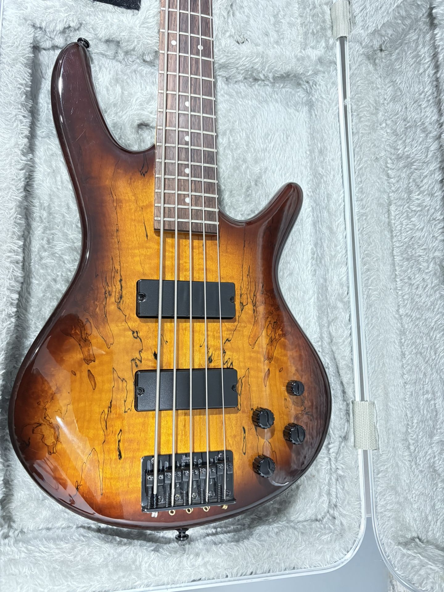 5 Strings Bass Guitar Only the bass not with the case