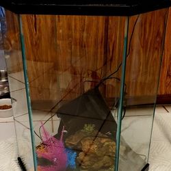  Aquarium Bundle