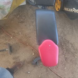 Bowflex gym equipment