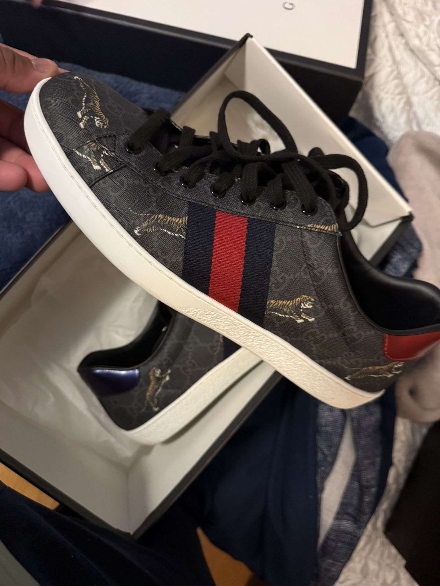 Gucci Shoes