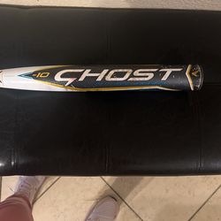 Softball Bat