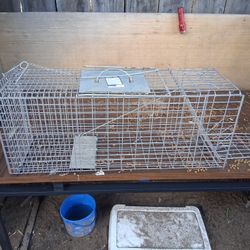 Animal Trap