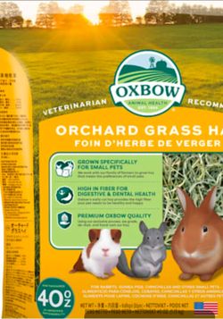 One flake of Orchard Grass rabbit guinea pig hamster