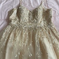 Dress from Quincenera Dama