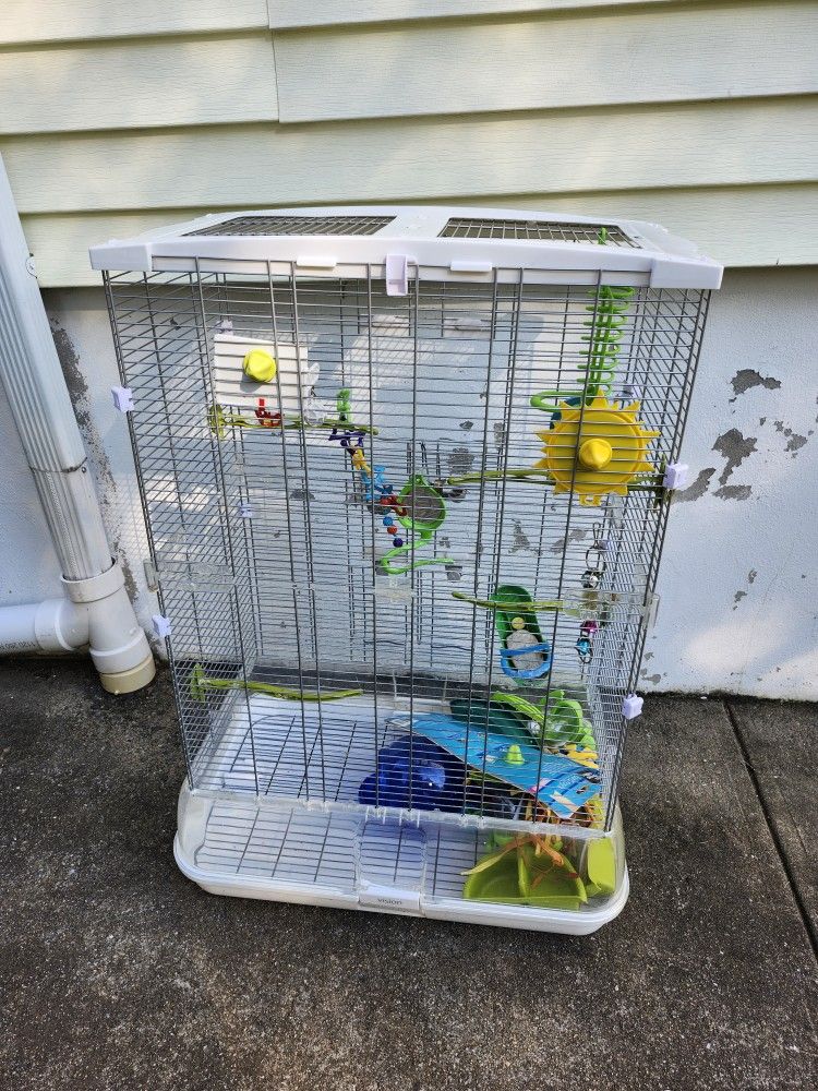 Bird Cage