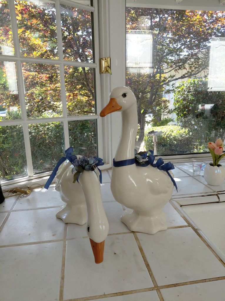 Ceramic Ducks