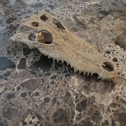 Exo Terra Croc Skull Repile Terrarium Decor