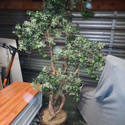 Tall Fake Tree