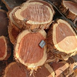 Cedar Slices 