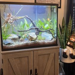 37 Gallon Fish Tank With Modern Stand, Light And Filter 