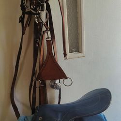 Exercise Saddle With Leathers And Stirrups And Racing Bridle Also Yolk And Rings