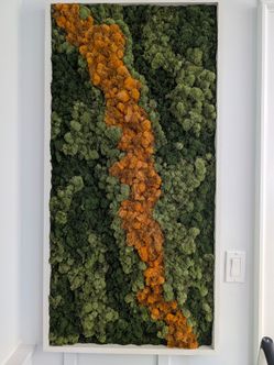 Custom Preserved Moss Wall Art | 24" x 48" | Modern Botanical Wall Decor