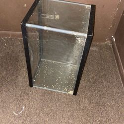 10 gallon fish tank