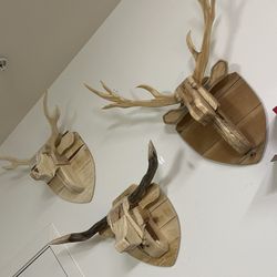 Wooden Deer Heads