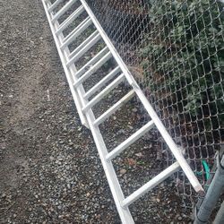 Extension Ladder 20 Foot