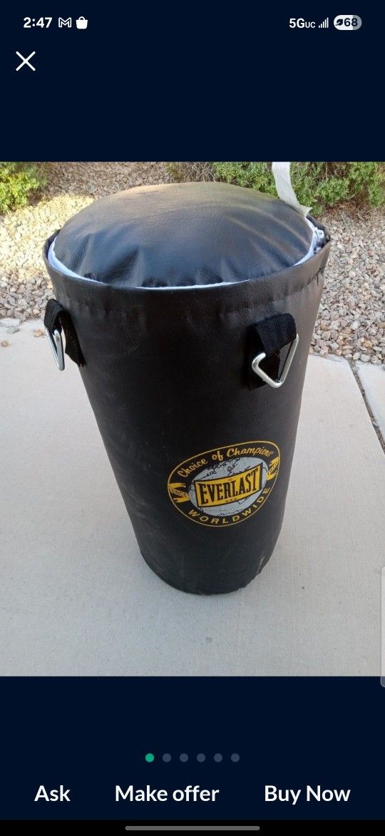 Everlasting Punching Bag