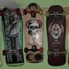 Skateboard Collecting 