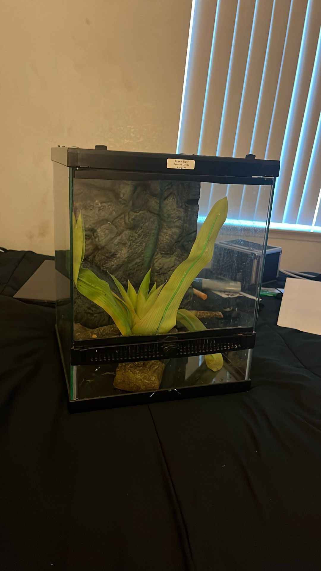 Small Terrarium