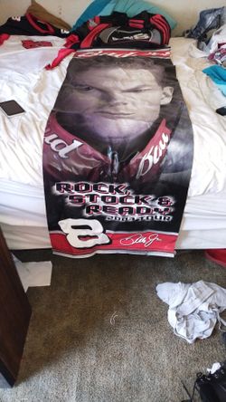 Dale Earnhardt Things