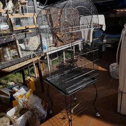 BEAUTIFUL CAGE For Any Kind Of Birds Like NEW 