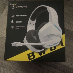 Bennune Wireless Gaming And Laptop Headset