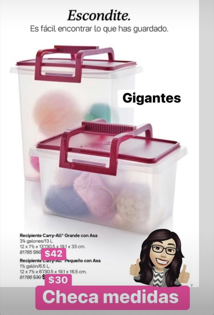 Tupperware varias especiales