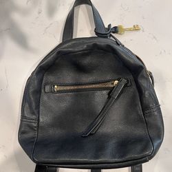 Fossil Purse Backpack