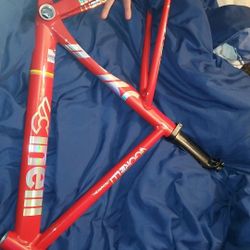 Cinell Shark Size 49