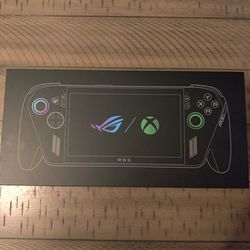 Xbox Ally X