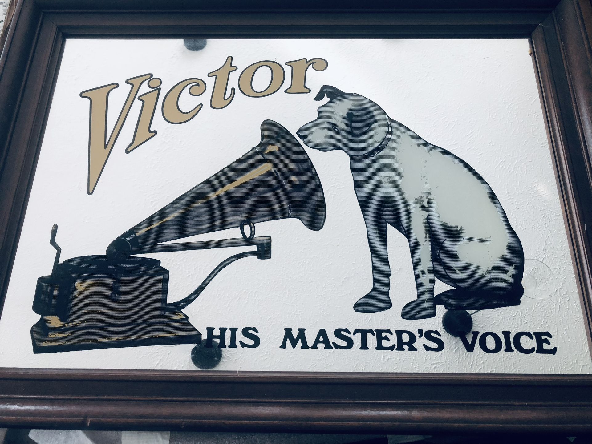 Vectors His Masters, Voice Authentic