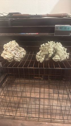 Large And Small Aquarium Rocks And Shell Shells