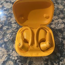 Beats Powerbeats Pro 2 Wireless  