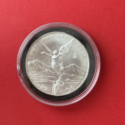  1 Onza 2004 Plata Pura