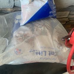 Cat Litter 