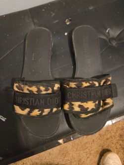 Christian  dior