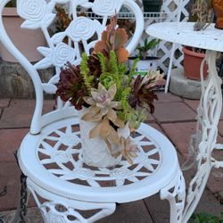 Succulent Variety Colorful In White Ceramic Pot (crack) 