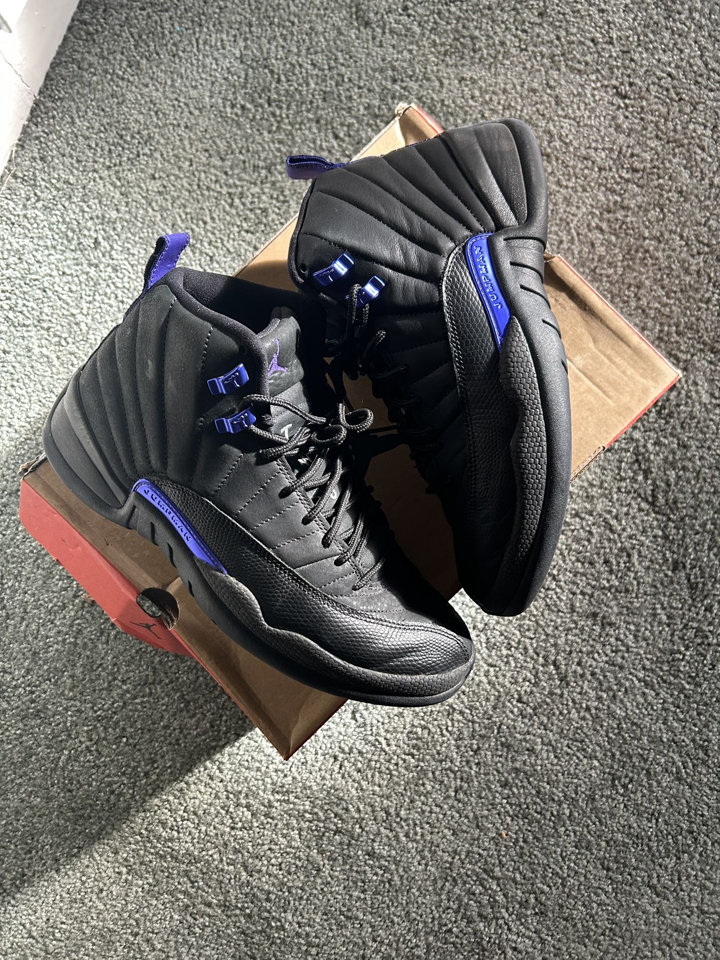 Jordan 12 Dark Concord size 9