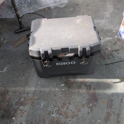 Igloo Cooler